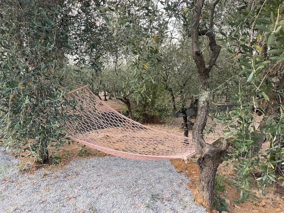Il Fienile Di Alberto E Costanza Lucques Extérieur photo