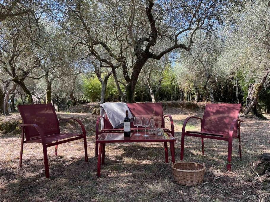Il Fienile Di Alberto E Costanza Lucques Extérieur photo